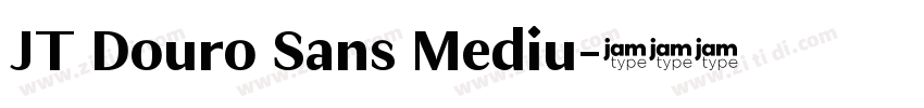 JT Douro Sans Mediu字体转换